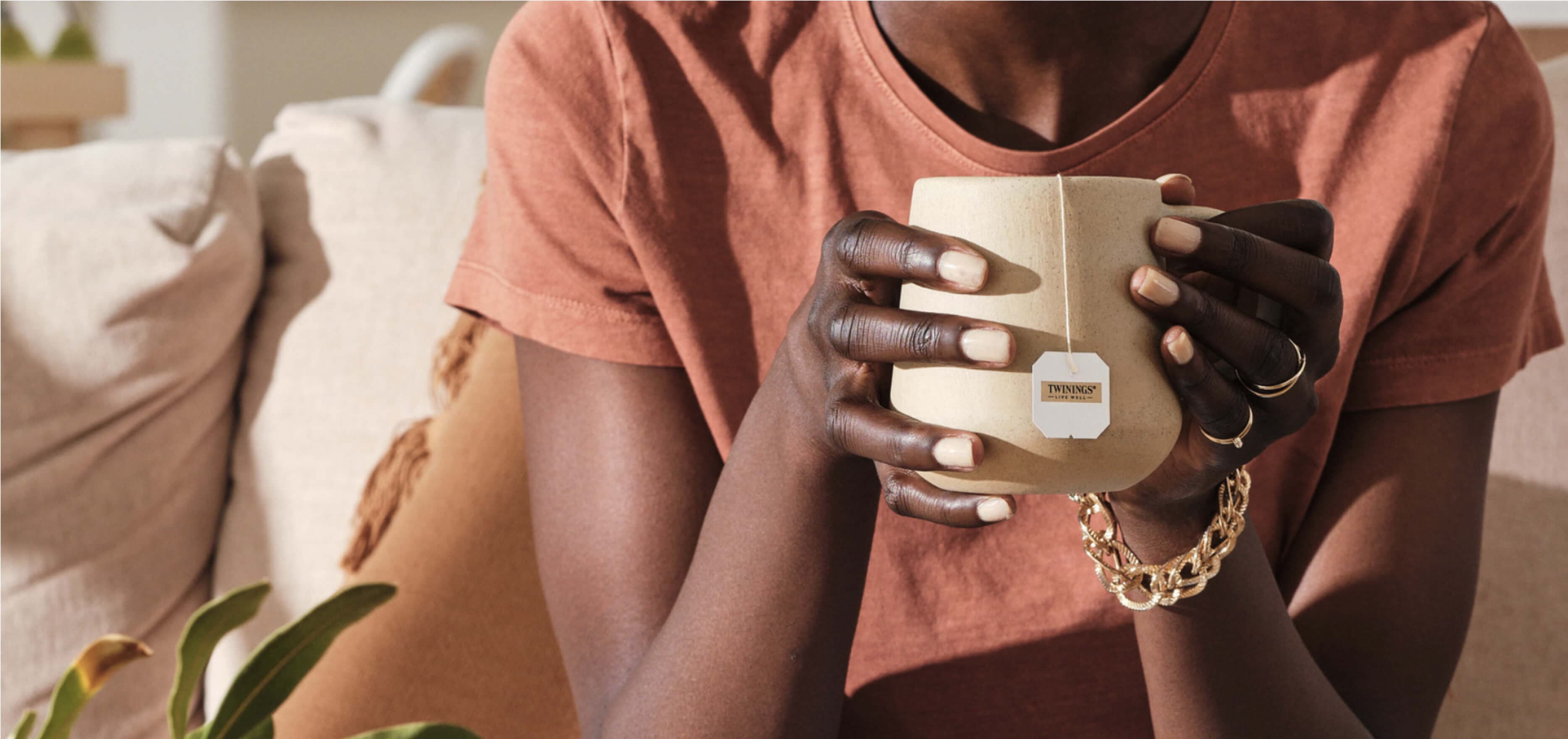 Image for this section